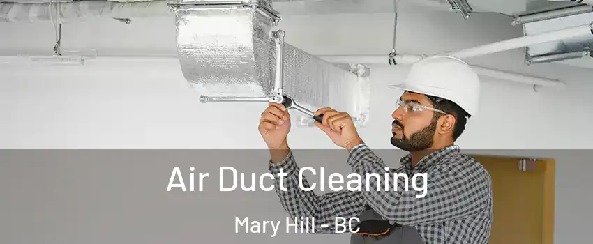  Air Duct Cleaning Mary Hill - BC