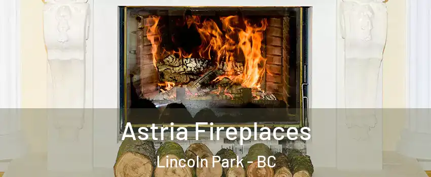  Astria Fireplaces Lincoln Park - BC