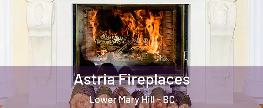  Astria Fireplaces Lower Mary Hill - BC