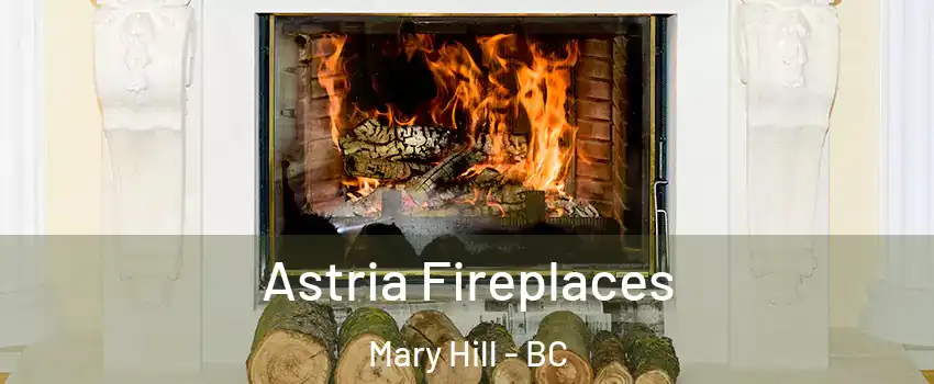  Astria Fireplaces Mary Hill - BC