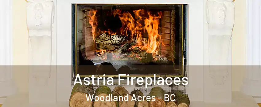  Astria Fireplaces Woodland Acres - BC