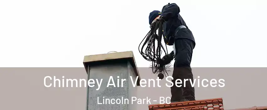  Chimney Air Vent Services Lincoln Park - BC