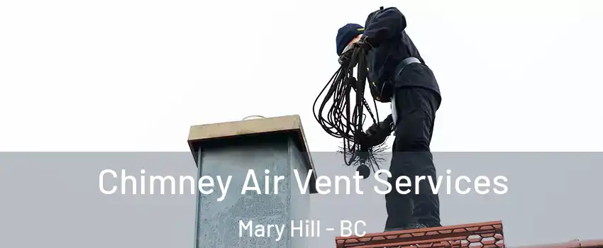  Chimney Air Vent Services Mary Hill - BC
