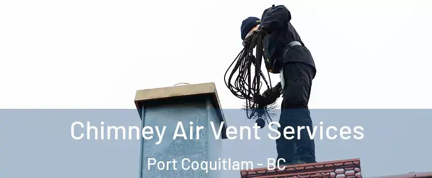  Chimney Air Vent Services Port Coquitlam - BC