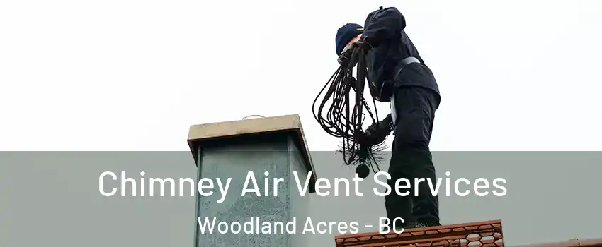  Chimney Air Vent Services Woodland Acres - BC