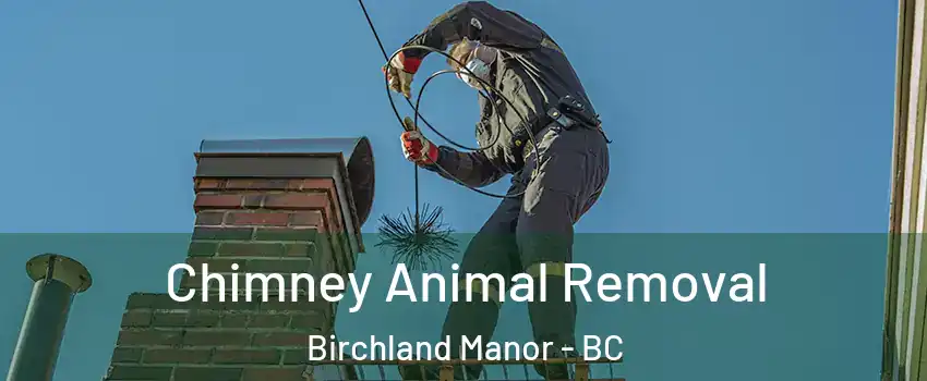 Chimney Animal Removal Birchland Manor - BC