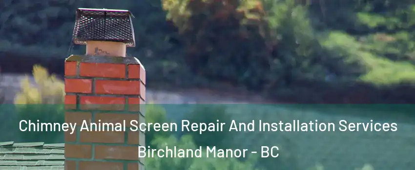  Chimney Animal Screen Repair And Installation Services Birchland Manor - BC