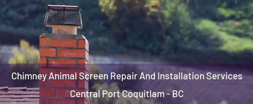  Chimney Animal Screen Repair And Installation Services Central Port Coquitlam - BC