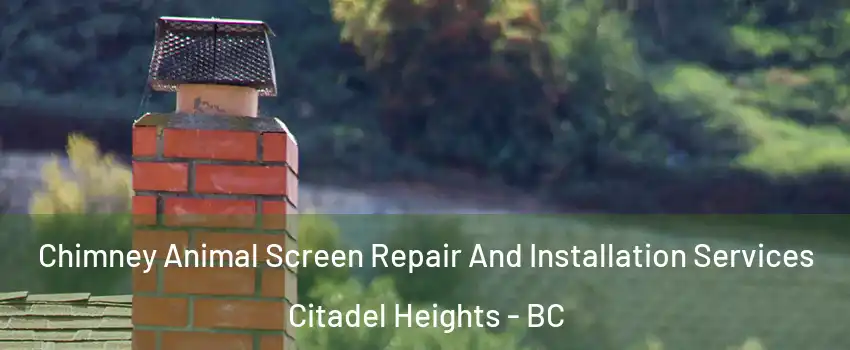  Chimney Animal Screen Repair And Installation Services Citadel Heights - BC
