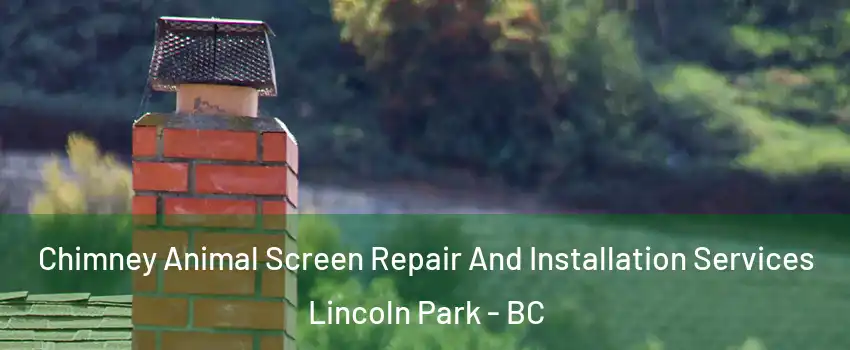 Chimney Animal Screen Repair And Installation Services Lincoln Park - BC