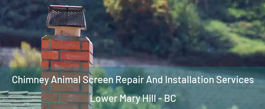  Chimney Animal Screen Repair And Installation Services Lower Mary Hill - BC