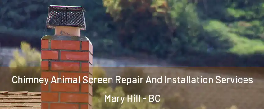  Chimney Animal Screen Repair And Installation Services Mary Hill - BC