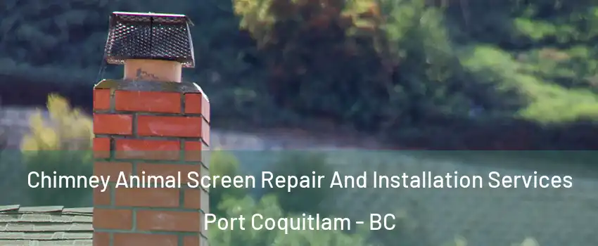  Chimney Animal Screen Repair And Installation Services Port Coquitlam - BC