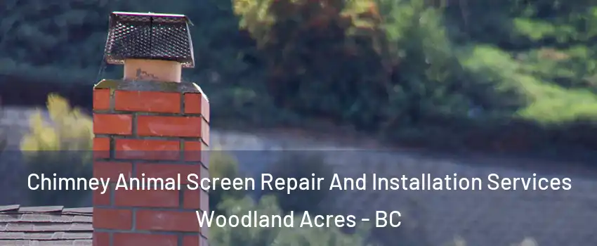  Chimney Animal Screen Repair And Installation Services Woodland Acres - BC