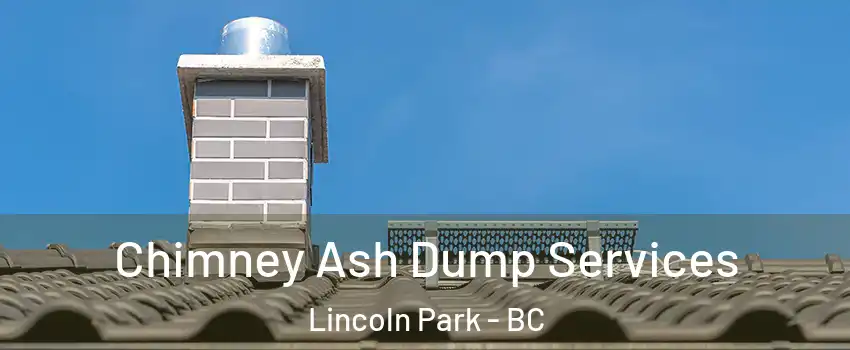  Chimney Ash Dump Services Lincoln Park - BC