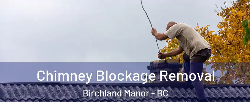  Chimney Blockage Removal Birchland Manor - BC