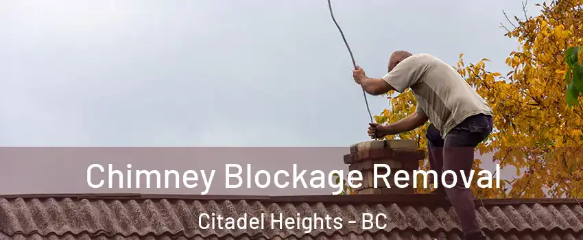  Chimney Blockage Removal Citadel Heights - BC