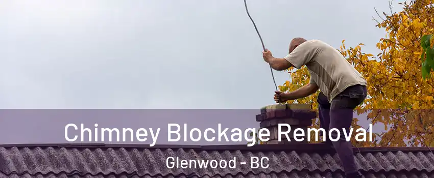  Chimney Blockage Removal Glenwood - BC