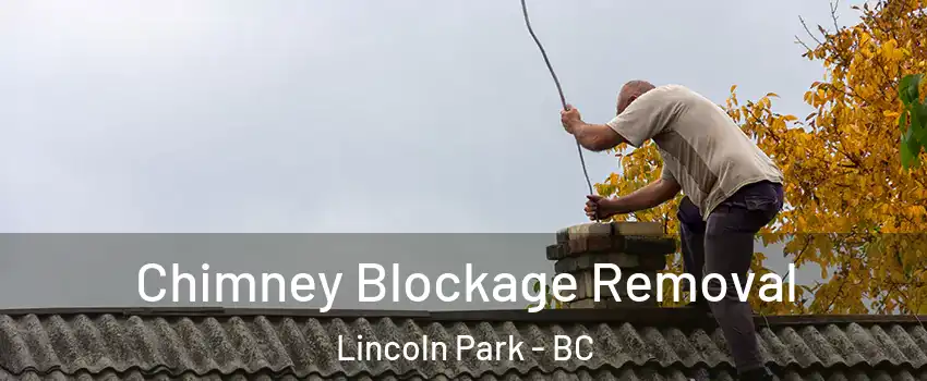  Chimney Blockage Removal Lincoln Park - BC