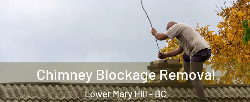  Chimney Blockage Removal Lower Mary Hill - BC