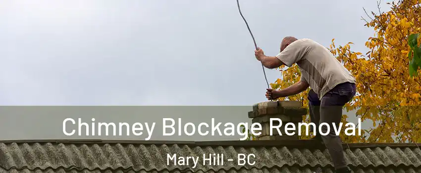  Chimney Blockage Removal Mary Hill - BC
