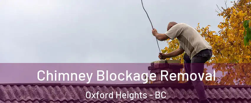  Chimney Blockage Removal Oxford Heights - BC