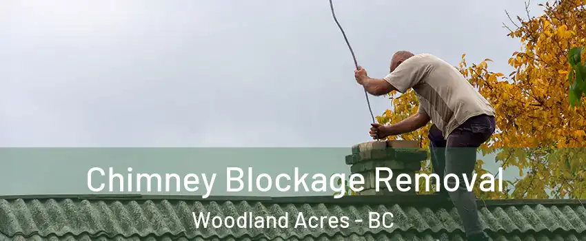  Chimney Blockage Removal Woodland Acres - BC