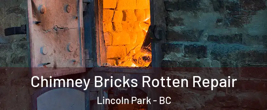  Chimney Bricks Rotten Repair Lincoln Park - BC