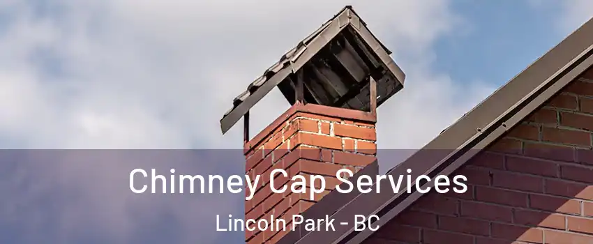  Chimney Cap Services Lincoln Park - BC