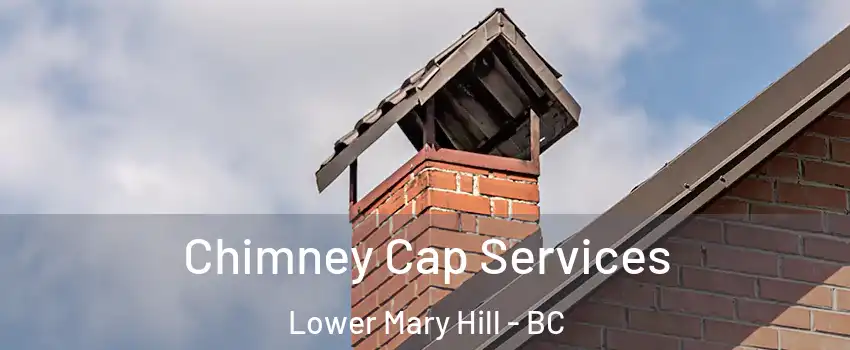  Chimney Cap Services Lower Mary Hill - BC