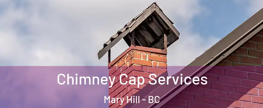  Chimney Cap Services Mary Hill - BC