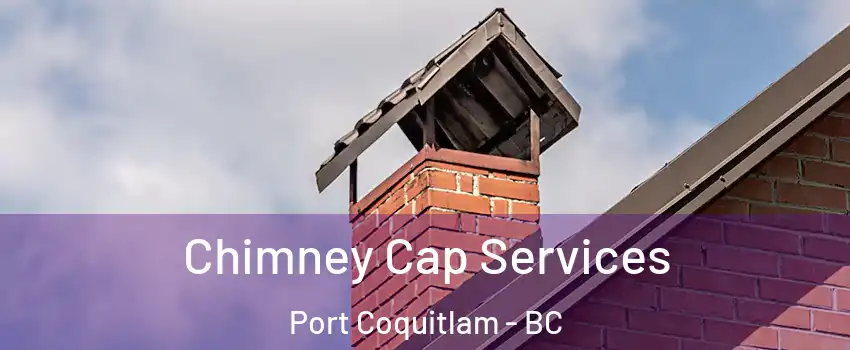  Chimney Cap Services Port Coquitlam - BC