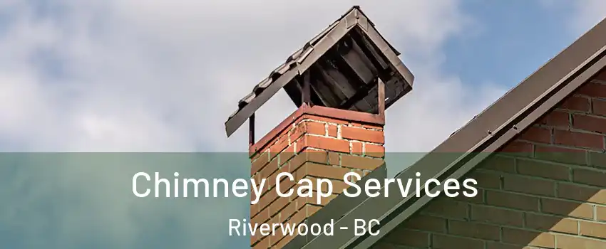  Chimney Cap Services Riverwood - BC