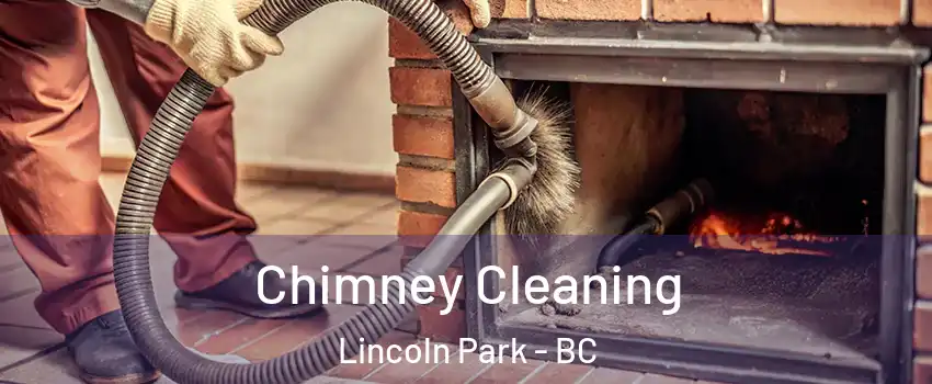  Chimney Cleaning Lincoln Park - BC
