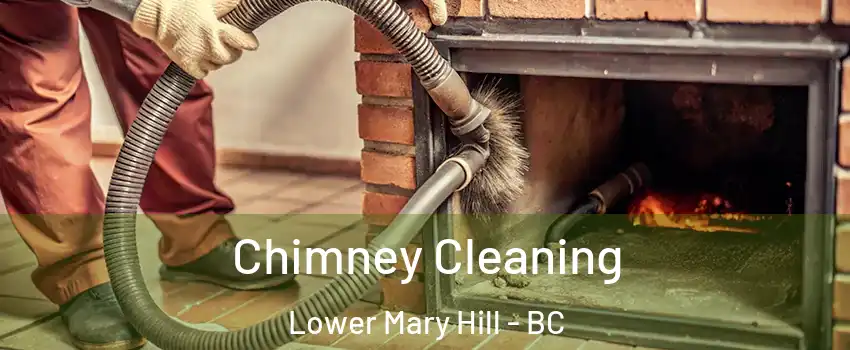  Chimney Cleaning Lower Mary Hill - BC