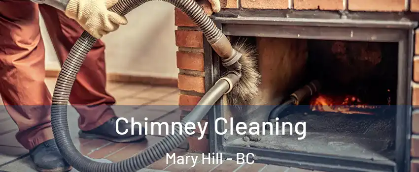  Chimney Cleaning Mary Hill - BC