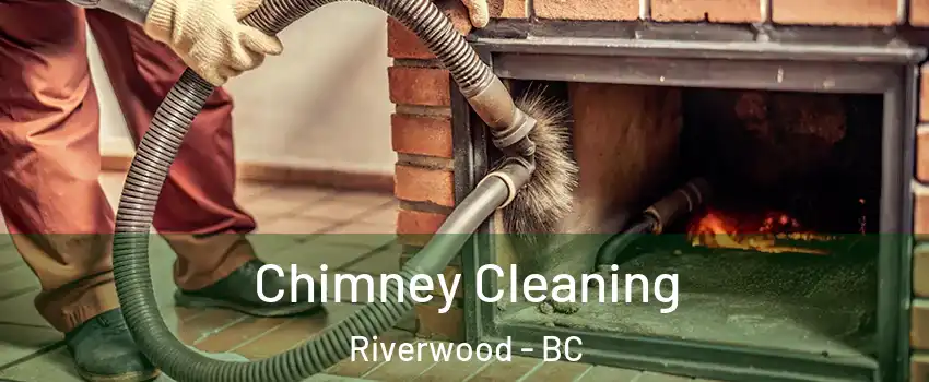  Chimney Cleaning Riverwood - BC