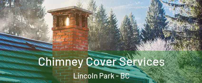  Chimney Cover Services Lincoln Park - BC