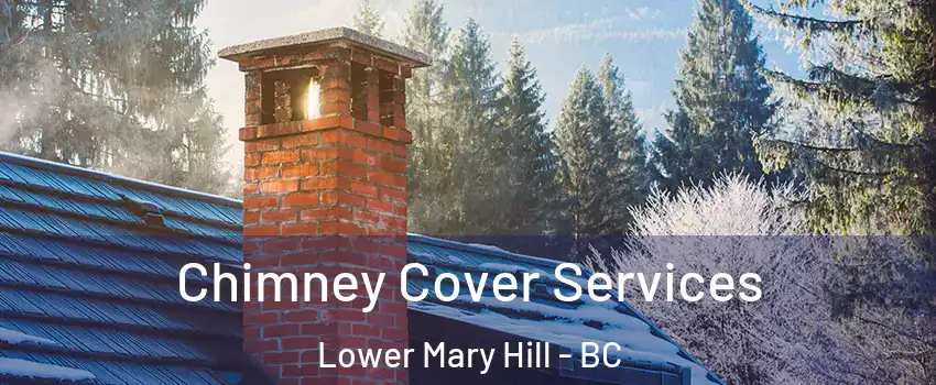  Chimney Cover Services Lower Mary Hill - BC