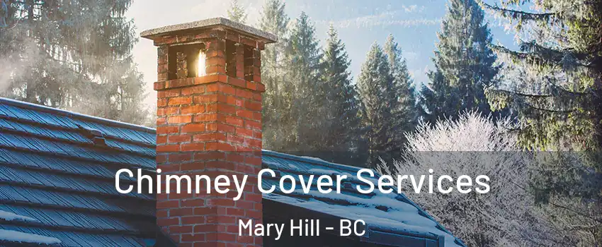  Chimney Cover Services Mary Hill - BC