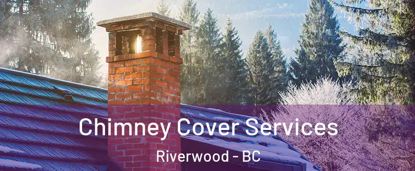  Chimney Cover Services Riverwood - BC