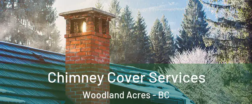  Chimney Cover Services Woodland Acres - BC