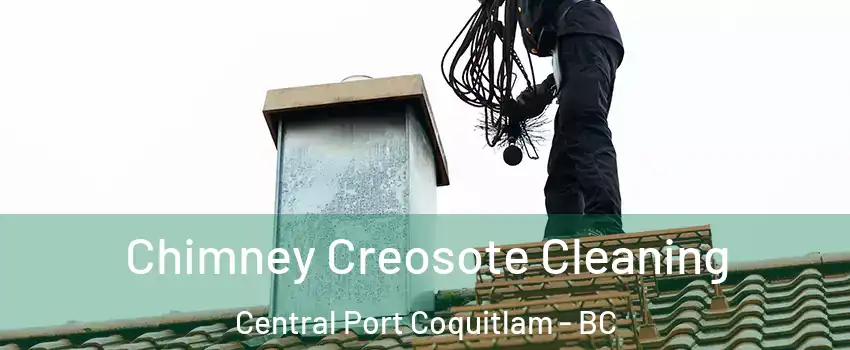  Chimney Creosote Cleaning Central Port Coquitlam - BC