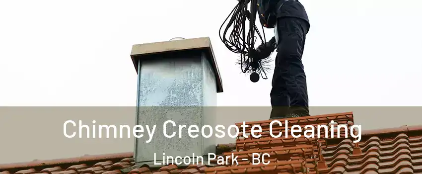  Chimney Creosote Cleaning Lincoln Park - BC