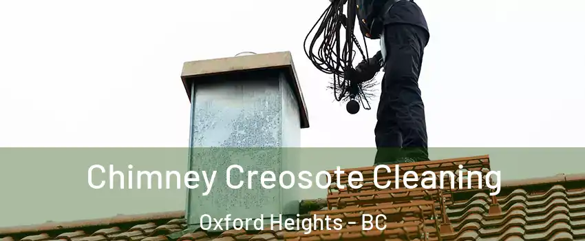  Chimney Creosote Cleaning Oxford Heights - BC