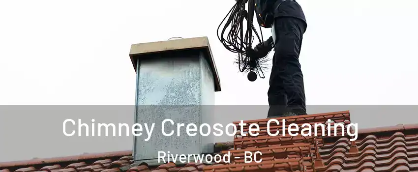  Chimney Creosote Cleaning Riverwood - BC