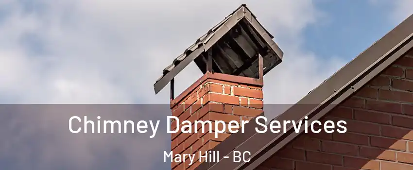  Chimney Damper Services Mary Hill - BC