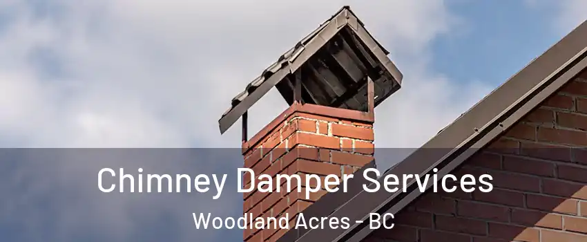  Chimney Damper Services Woodland Acres - BC