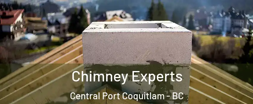 Chimney Experts Central Port Coquitlam - BC