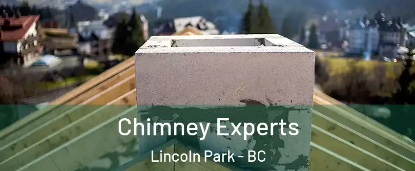 Chimney Experts Lincoln Park - BC